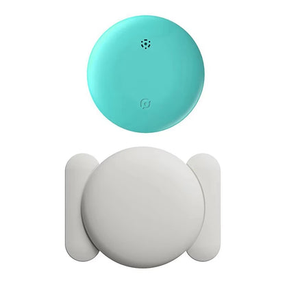 Smart GPS Locator